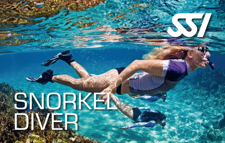 SSI Try snorkelen indoors bij Dive2adventure
