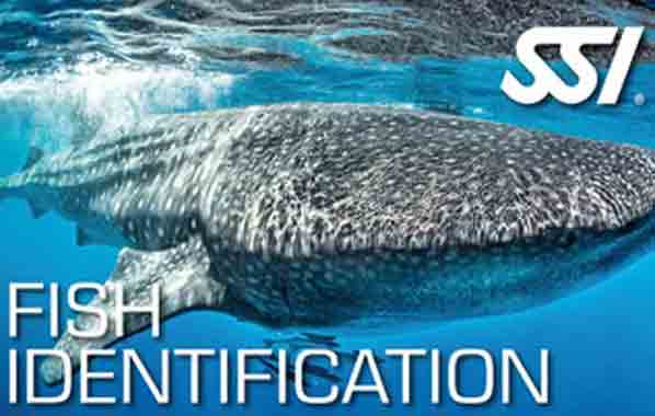 SSSSI Fish Identification