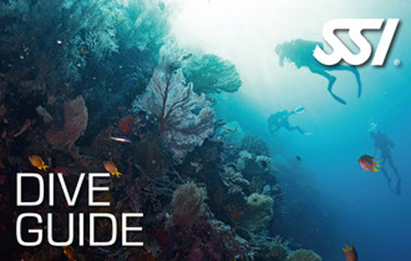 SSI Dive Guide