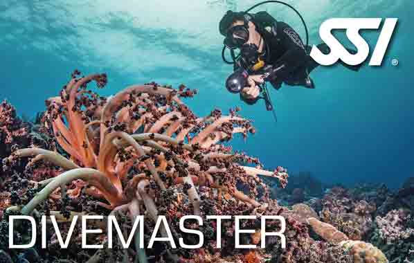 SSI cursus divemaster