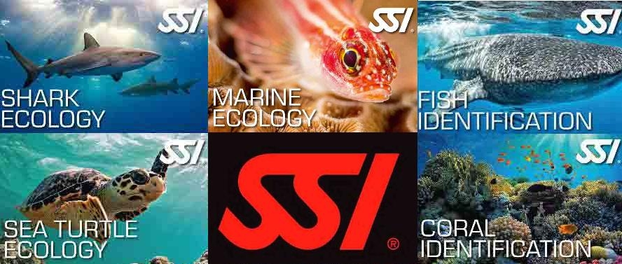 SSI ecology programn