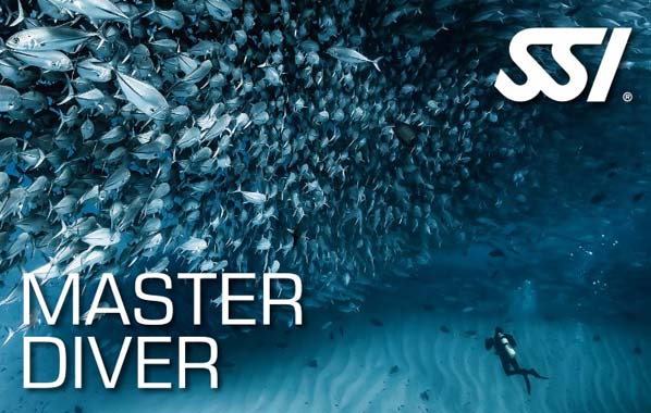 SSI Master Diver