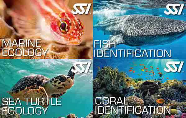 SSI 4/5 ecology programns